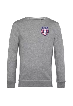 Disney Mickey Classic Usa Badge - Sweater - Heather Grey -Disney 840c6bcfed8f4d2bbef8718ca7379655 scaled