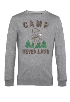 Disney Peter Pan Camp Neverland - Sweater - Heather Grey -Disney 92e7443692c941489701758f371c96e0 scaled
