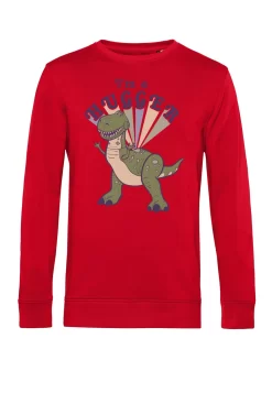 Disney Toy Story 1-3 Hugger Rex - Sweater - Red -Disney d047347d4a3c4f1cbd22e1c5335a6f72 scaled
